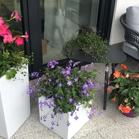 Strandstrasse H3w2-eg Koelpinsee Loddin