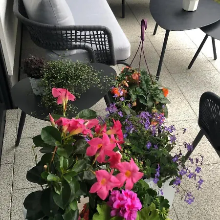 Strandstrasse H3w2-eg Koelpinsee Διαμέρισμα Loddin