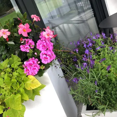 Strandstrasse H3w2-eg Koelpinsee *